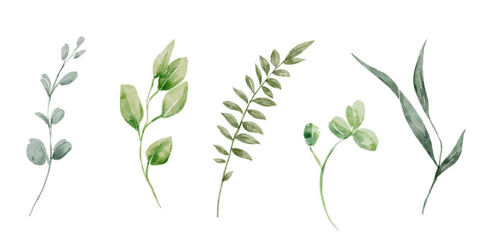 bruyères plantes 6 Bruyères d'hiver en mélange main image 1