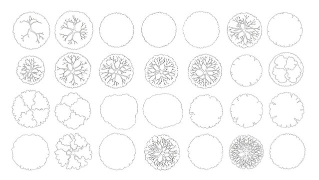 Landscape Design Deciduous Tree Canopy Plan View Outline Vector Bundle