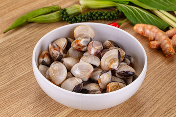 Raw fresh wild clams mollusc © Andrei Starostin