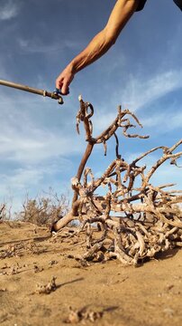 Slow motion of a human hand pouring precious water drops from a faucet on the dry, dead roots of a plant in the desert, symbolizing the scarcity crisis and effects of climate change
