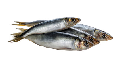 Obraz premium Pile of Fresh Sardines An exquisite stack of fresh sardines, shimmering with a metallic sheen, rests ready for culinary creation. Every scale glistens, presenting a visual and culinary delight.