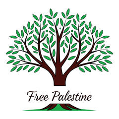 Obraz premium Palestinian olive tree with 