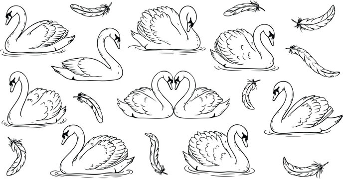 Line minimalist swans set. Beautiful elegant birds with heart shape necks on white background. Swan in ink victorian romantic style for wedding invitation card design. Hand drawn llustration