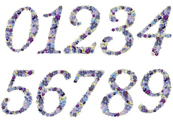 紫のフローラル数字0-9フルセット PNG｜ラベンダーカラーのボタニカルナンバー素材集｜ウェディング・誕生日用透過画像10点セット © Futaba