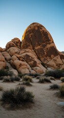 Desert's Golden Embrace