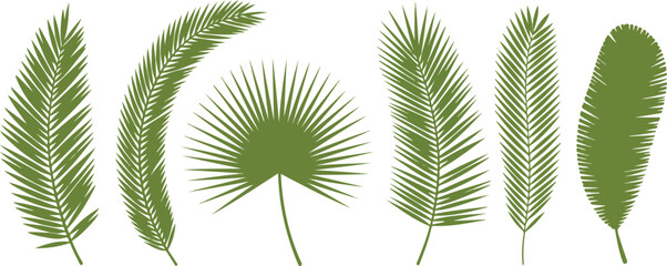 Tropical Palm Leaves Vector Set  Fronds, Fan Palms, and Exotic Foliage