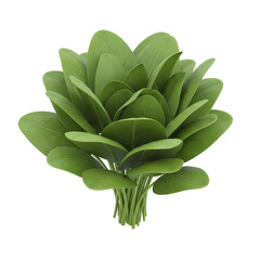 新鮮な緑の葉が茂る植物のクローズアップ