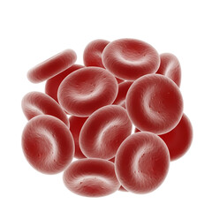 赤血球の集まりを示す顕微鏡写真の詳細