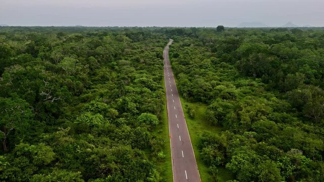 A drone shot shows a straight asphalt road cutting through the dense, lush green forest in Yala National Park, Sri Lanka. The overhead perspective highlights the contrast between human infrastructure