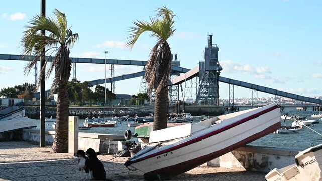 Beached fishing boat beside palm trees and harbor