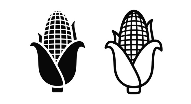 Two black and white corn cobs with husks side by side