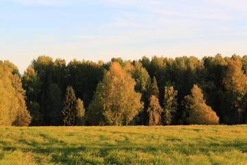 a mown field and a beautiful forest on a sunny day in early autumn