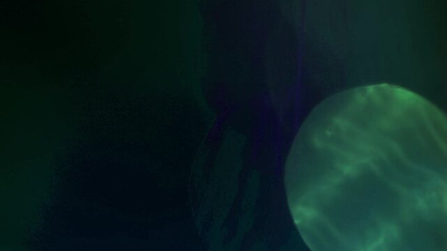 Light leak and bokeh overlay with dark green and purple hues, creating a moody and atmospheric feel. Great for adding texture and visual interest to videos.