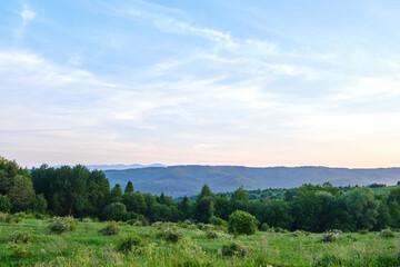 Obraz premium Forest Hills at Peaceful Sunset