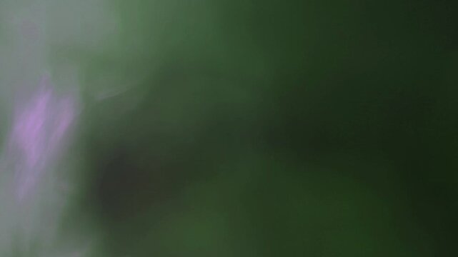 light leak and bokeh overlay with purple and green flares. This effect is perfect for adding a vintage or dreamy feel to your video projects.