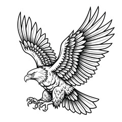 Fototapeta premium Detailed black and white illustration of a majestic eagle in flight with wings spread wide
