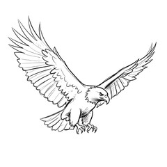 Fototapeta premium Detailed line art illustration of a majestic eagle in flight with wings spread wide
