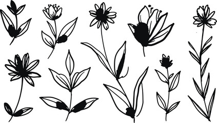 Fototapeta premium Scandinavian flower elements. Scandi style doodle plants, leaves flowers and branches vector set. Illustration branch plant and flower