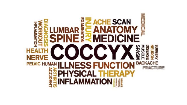 Coccyx animated word cloud-text design animation tag kinetic typography seamless loop.