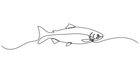 Obraz premium Salmon fish in one continuous line art drawing style vector illustration, Single line drawing of a leaping salmon, aquatic elegance, Fresh salmon fish in continuous line art drawing, Monoline Fishing