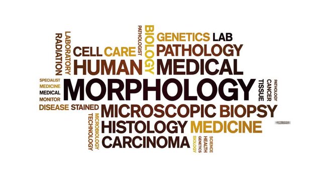 Morphology animated word cloud-text design animation tag kinetic typography seamless loop.
