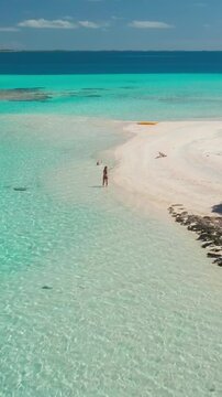 Aerial drone footage of a young woman enjoying a sunny day at the beach with her dog, walking on a pristine white sand beach in a tropical paradise
