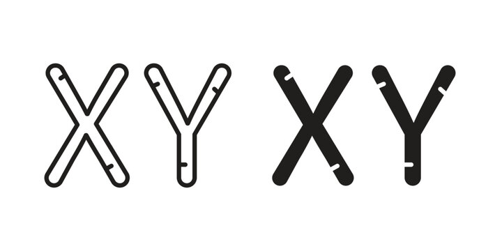 Masculine Chromosomes icon in a simple, black and white style.