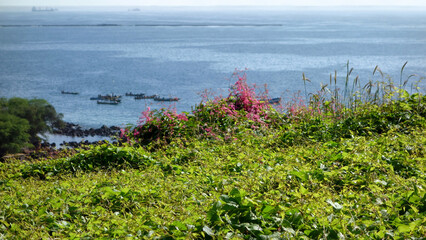 Pirogues de pêche le long des côtes du Sénégal © PPJ