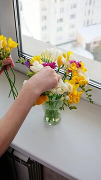 Top view of woman composing freesia bouquet in glass vase on bright windowsill. Minimal spring styling and floral design concept.