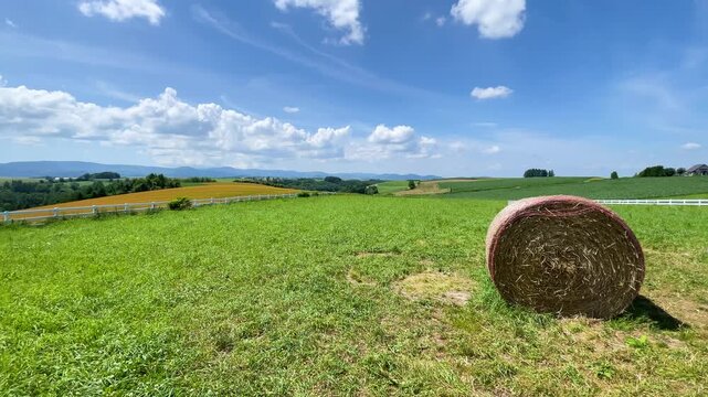 美瑛、パッチワークの丘、夏の北海道