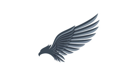Fototapeta premium Bird Eagle Flying Wings Spread Wide.