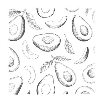 Black and white hand drawn of avocados and leaves fruit food healthy organic