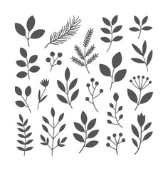 Collection of Dark Gray Botanical Silhouettes White leaf branch berry
