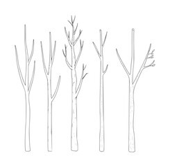 Five bare tree trunks with branches in black and white line twig © Ali