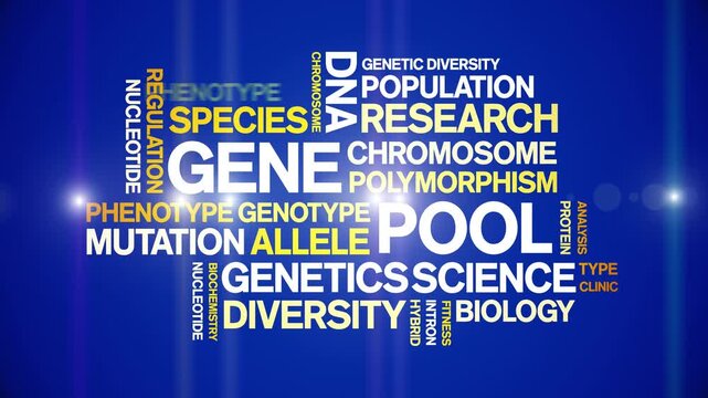 Gene Pool animated word cloud-text design animation tag kinetic typography seamless loop.