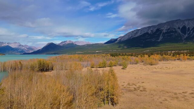 Aerial View Of The Autumn Of Colors Of The Abraham Lake