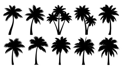 Obraz premium Tropical palm tree silhouette vector set with diverse trunk and frond shapes on white background