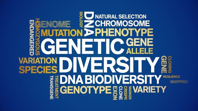 Genetic Diversity animated word cloud-text design animation tag kinetic typography seamless loop.