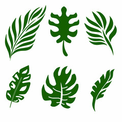Set of Tropical Green Leaf Vector Illustrations Isolated on White