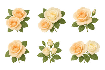 Naklejka premium Six isolated peach and cream rose clusters with green leaves on transparent background, realistic floral illustrations ideal for wedding stationery, greeting cards, invitations and decorative design