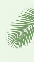 Obraz premium Palm leaf on green background.