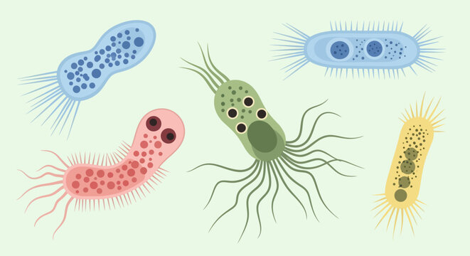 Colorful illustration of various bacteria and microorganisms.