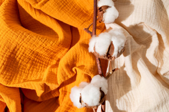 Cotton branch on natural orange and beige muslin fabric top view. Concept of eco-friendly cotton fabric, material for sewing delicate baby clothes, baby diapers, bedding. Delicate textiles for childs 