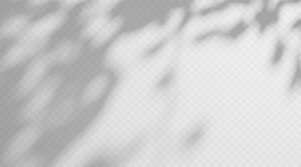 Fototapete Rund Restaurant Abstract dappled light shadow overlay from tree foliage on a transparent background.  © TanyaFox