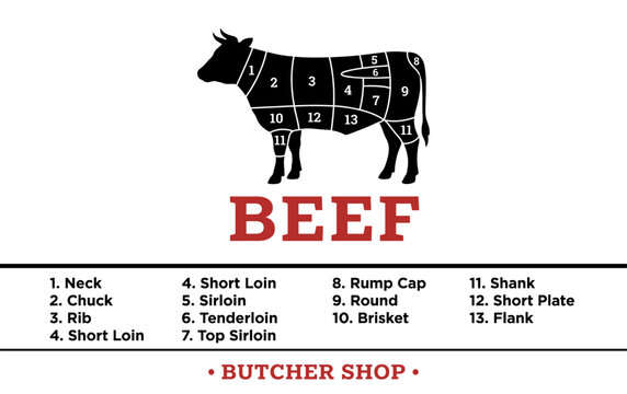 Beef meat cuts chart infographic with cow silhouette