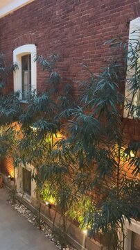 Modern courtyard walkway with green bamboo and warm ground lights by a brick wall. Cozy outdoor design, home landscaping, evening calm.
