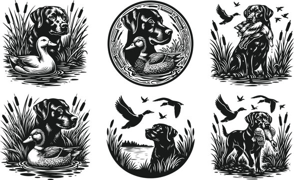 Dog and Duck Hunting Vector Illustration, Retriever in Reeds, Flat Design