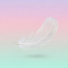 Obraz premium Soft white feather on pastel background.