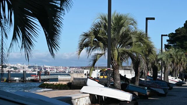 Palm trees and boats along Trafaria waterfront