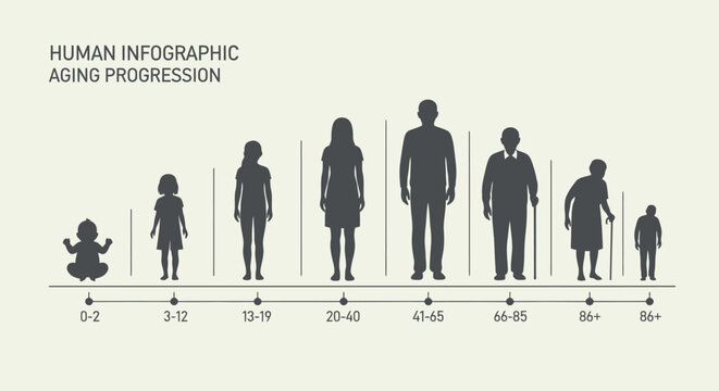 Human Silhouettes Aging Progression Infographic Elements.